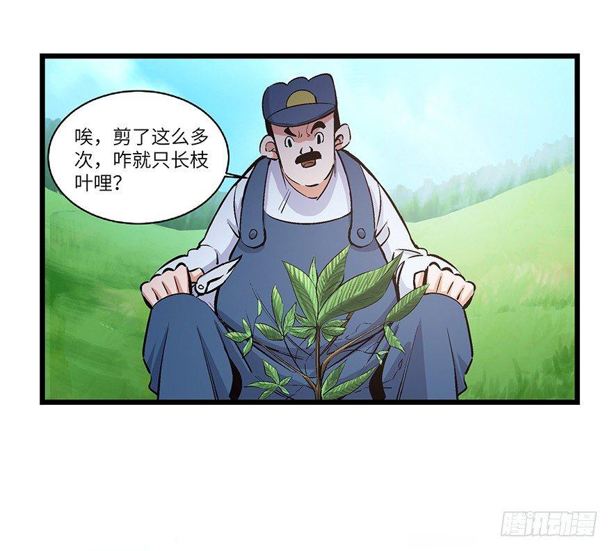 《心跳300秒》漫画最新章节第一七零话·花开之时免费下拉式在线观看章节第【3】张图片