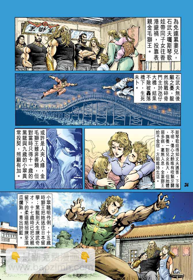 《新着龙虎门》漫画最新章节第13回免费下拉式在线观看章节第【31】张图片