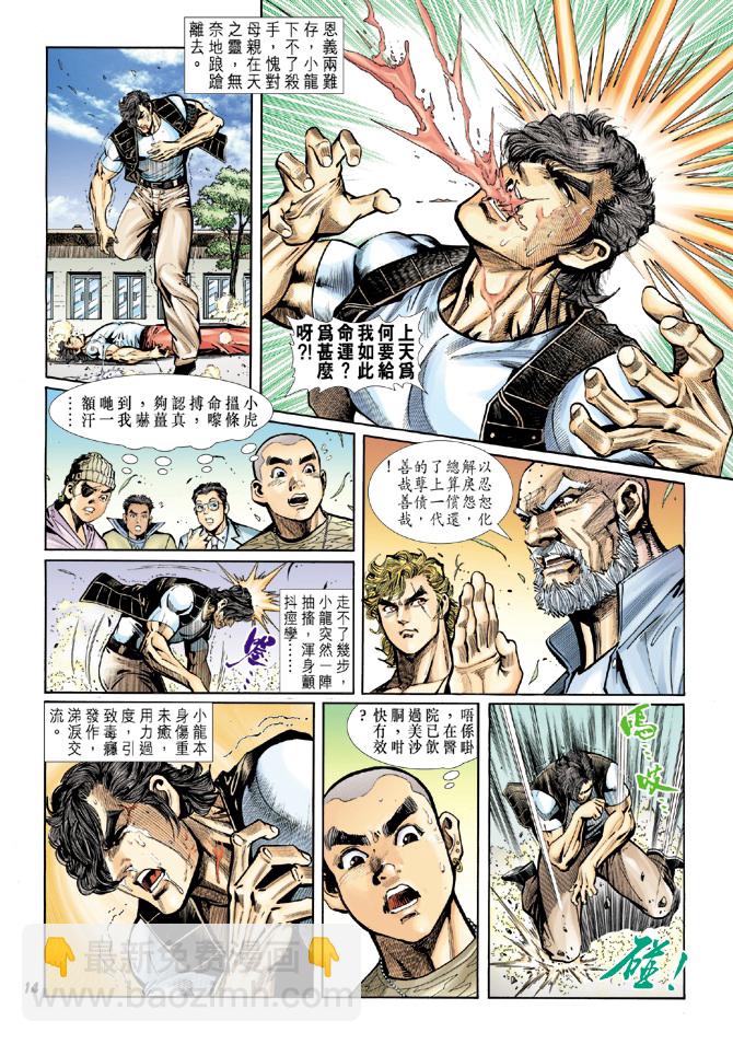 《新着龙虎门》漫画最新章节第16回免费下拉式在线观看章节第【13】张图片