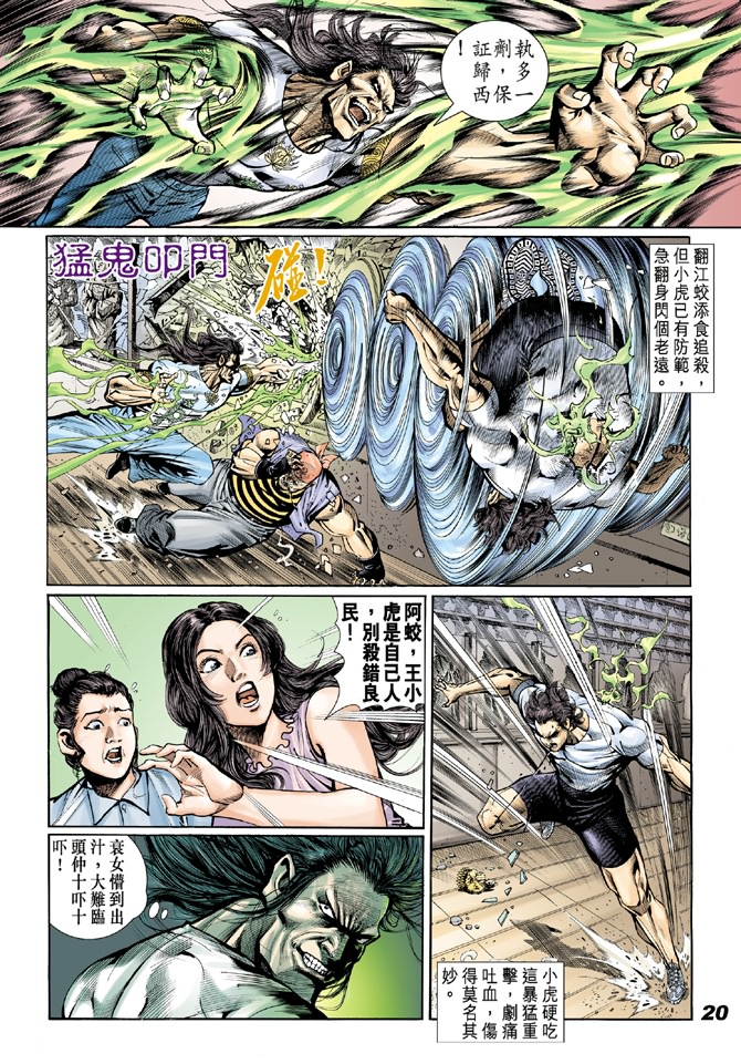 《新着龙虎门》漫画最新章节第18回免费下拉式在线观看章节第【18】张图片