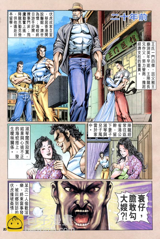 《新着龙虎门》漫画最新章节第33回免费下拉式在线观看章节第【22】张图片