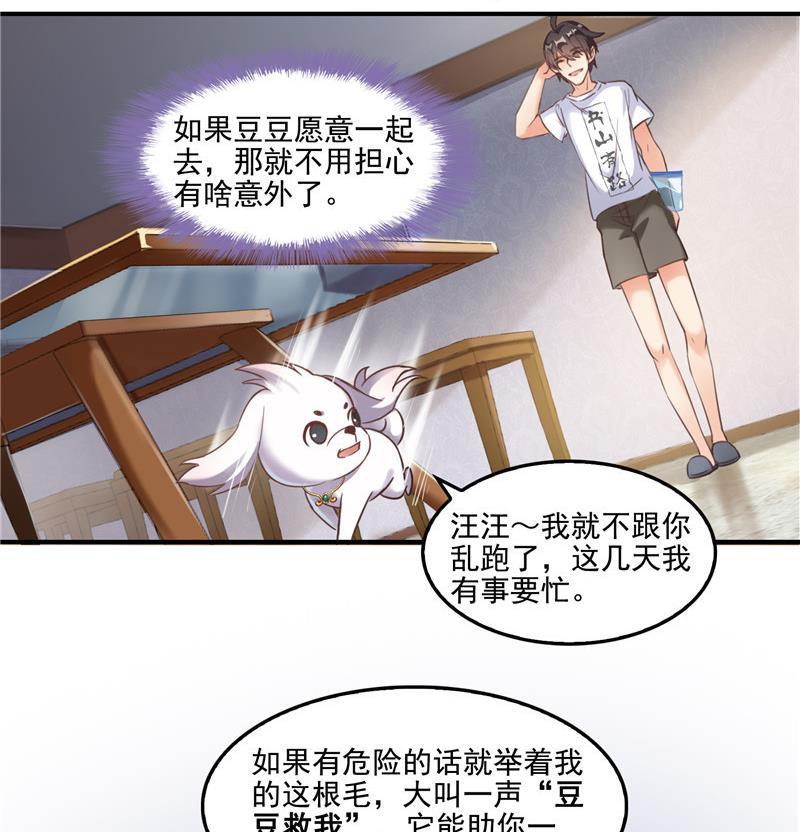 《修真聊天群》漫画最新章节第108话 白前辈的祝福免费下拉式在线观看章节第【35】张图片