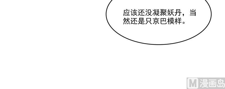 《修真聊天群》漫画最新章节第246话 所谓的“克星”？免费下拉式在线观看章节第【62】张图片