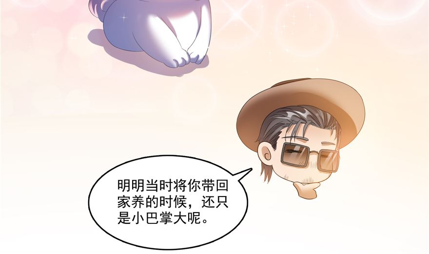 《修真聊天群》漫画最新章节第254话 什么？该嫁人了？免费下拉式在线观看章节第【52】张图片