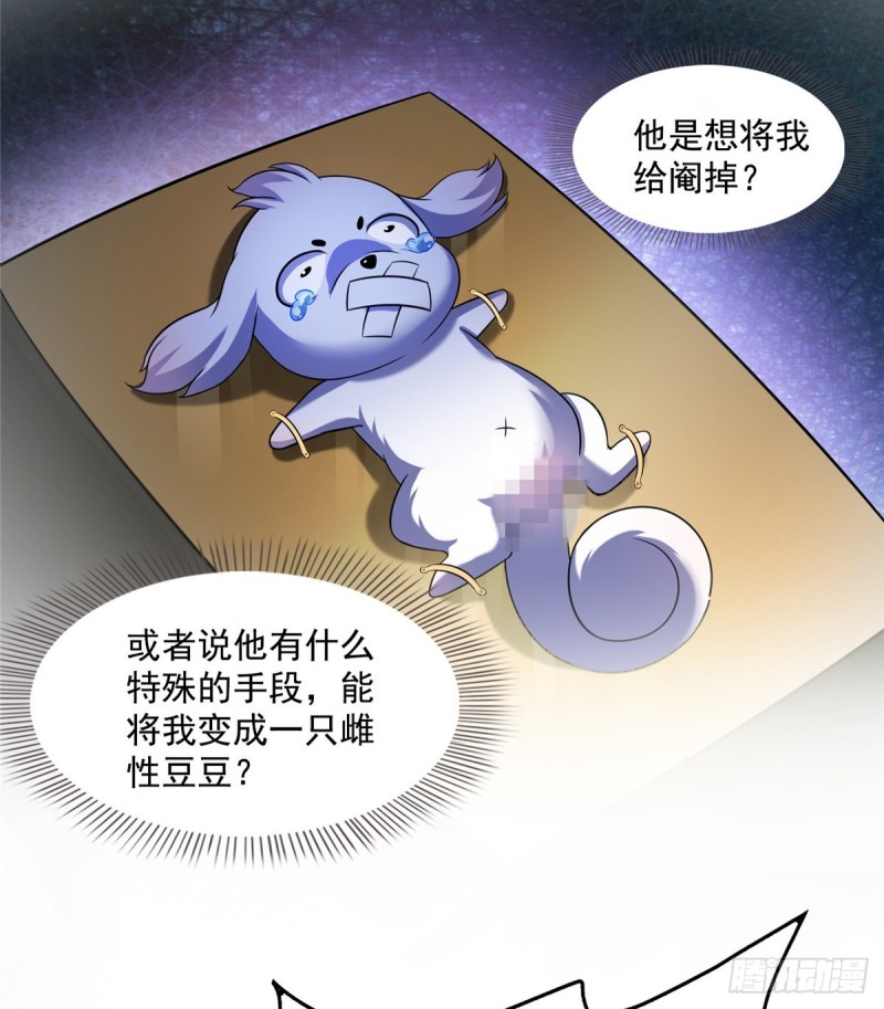 《修真聊天群》漫画最新章节325 药师兄床铺再预定半月免费下拉式在线观看章节第【29】张图片