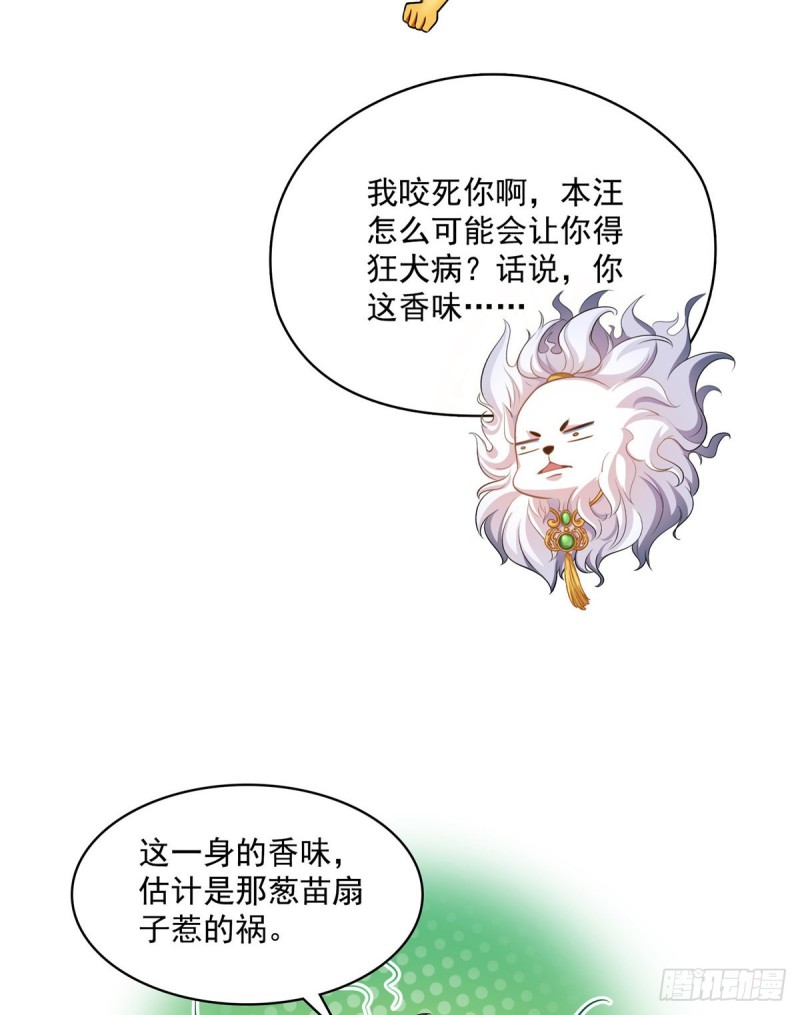 《修真聊天群》漫画最新章节第365话 上上上上签免费下拉式在线观看章节第【3】张图片