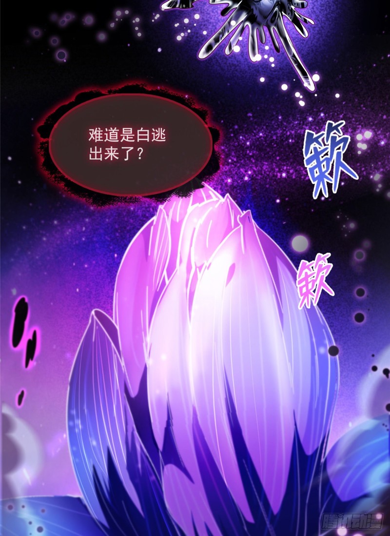 《修真聊天群》漫画最新章节第374话 你就当我人傻钱多吧免费下拉式在线观看章节第【45】张图片