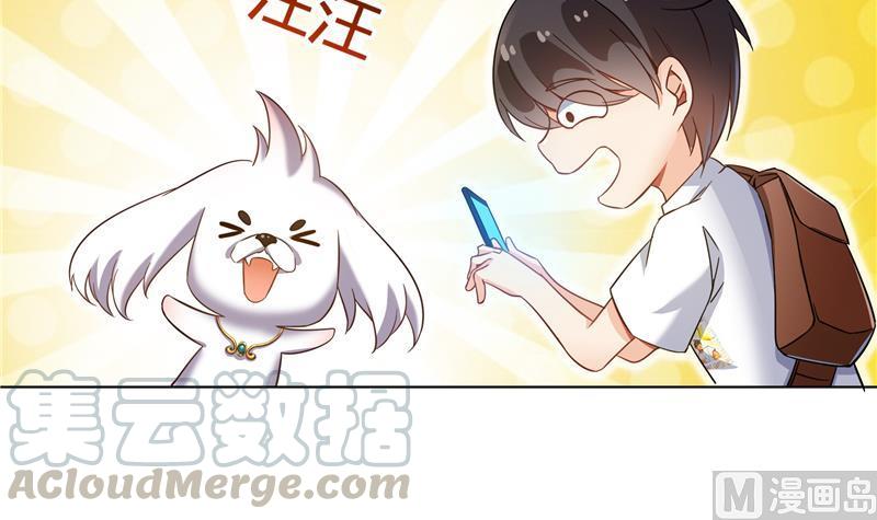 《修真聊天群》漫画最新章节第76话 豆豆+白真君！免费下拉式在线观看章节第【45】张图片