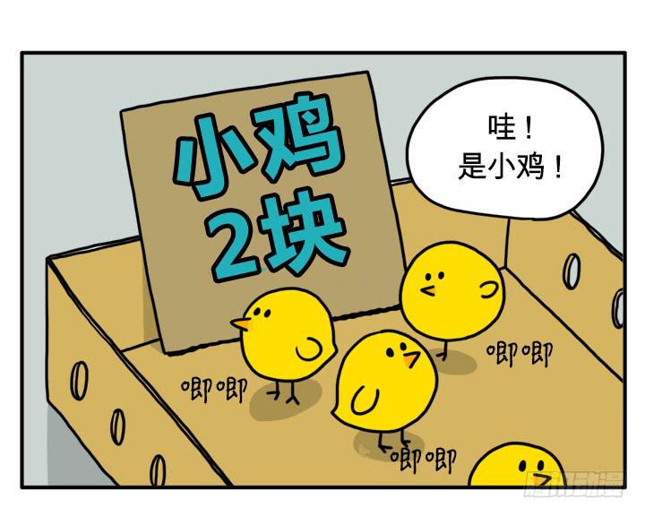 《吸血高中生血饺哥》漫画最新章节小鸡免费下拉式在线观看章节第【2】张图片