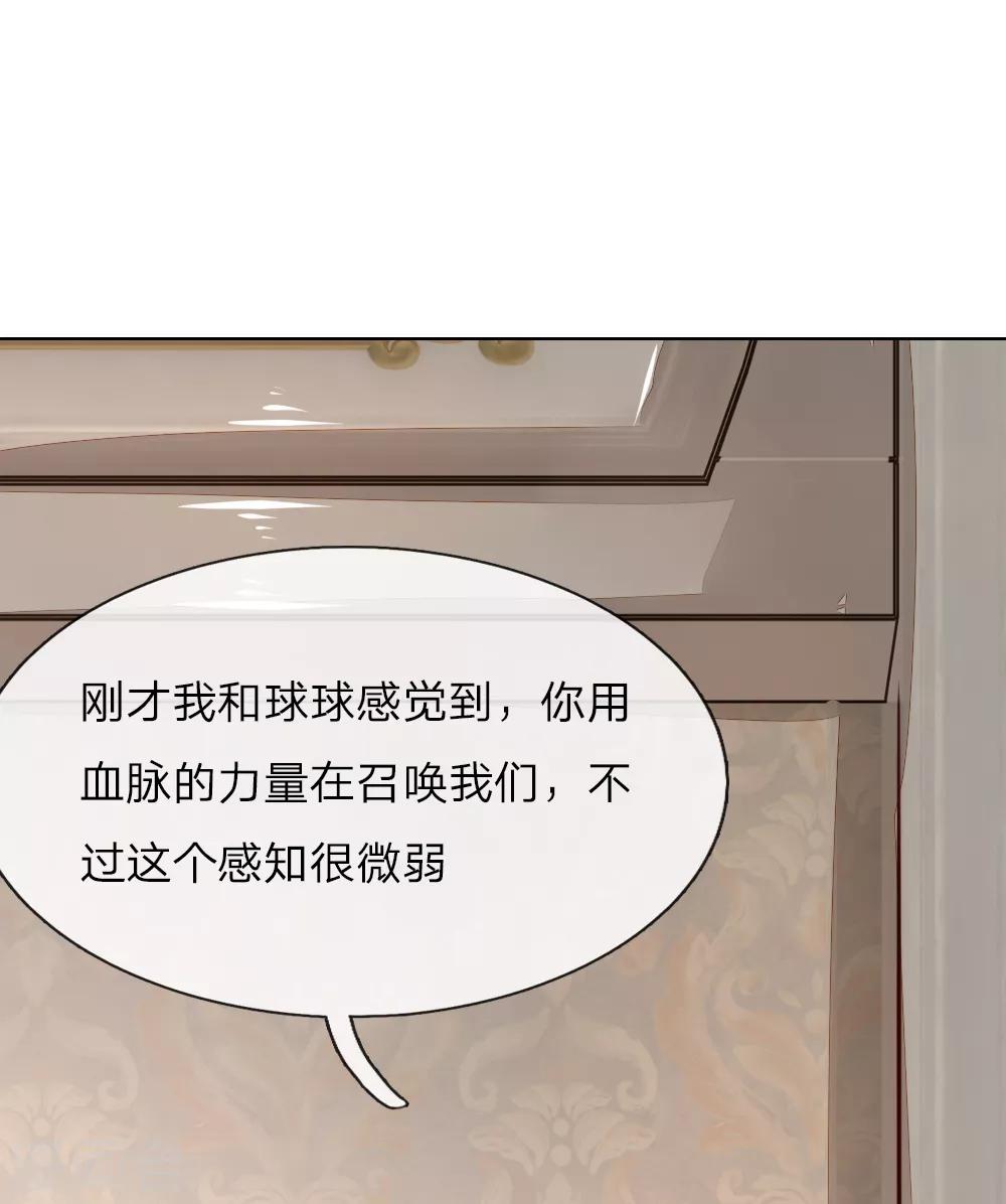 《吸血鬼男神》漫画最新章节第244话 血脉之力的召唤免费下拉式在线观看章节第【13】张图片