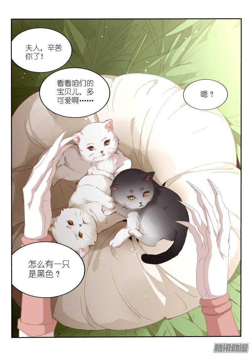 妖精种植手册-234-黑猫全彩韩漫标签
