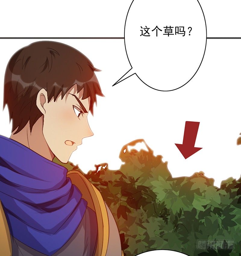 《野区老祖》漫画最新章节第29话：队友很给力！免费下拉式在线观看章节第【42】张图片