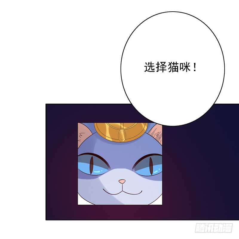 《野区老祖》漫画最新章节第97话：恐怖的猫咪免费下拉式在线观看章节第【16】张图片
