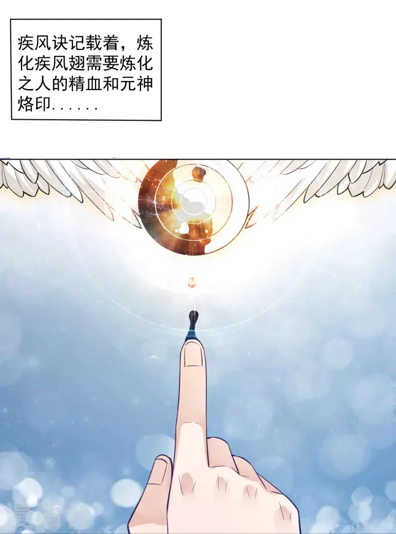 《一等家丁》漫画最新章节第287话 乾坤羽翼免费下拉式在线观看章节第【29】张图片