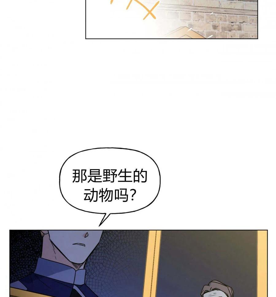 《伊琳娜的观察日志》漫画最新章节第17话免费下拉式在线观看章节第【14】张图片