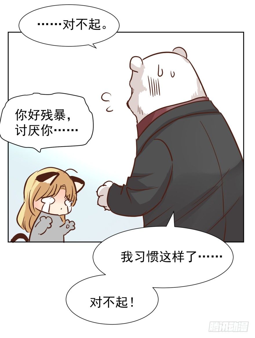 《亿万奶爸》漫画最新章节熊与小猫免费下拉式在线观看章节第【6】张图片