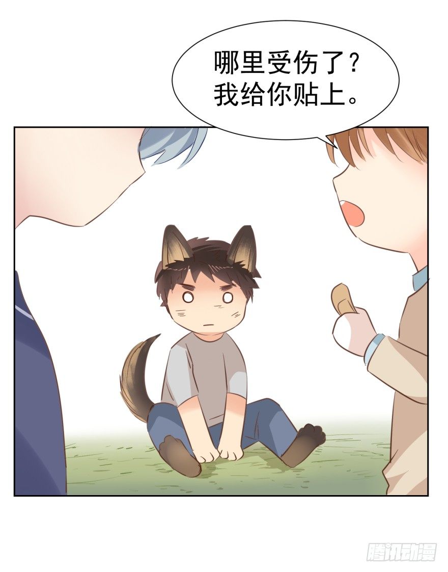 《亿万奶爸》漫画最新章节汪的失落免费下拉式在线观看章节第【4】张图片