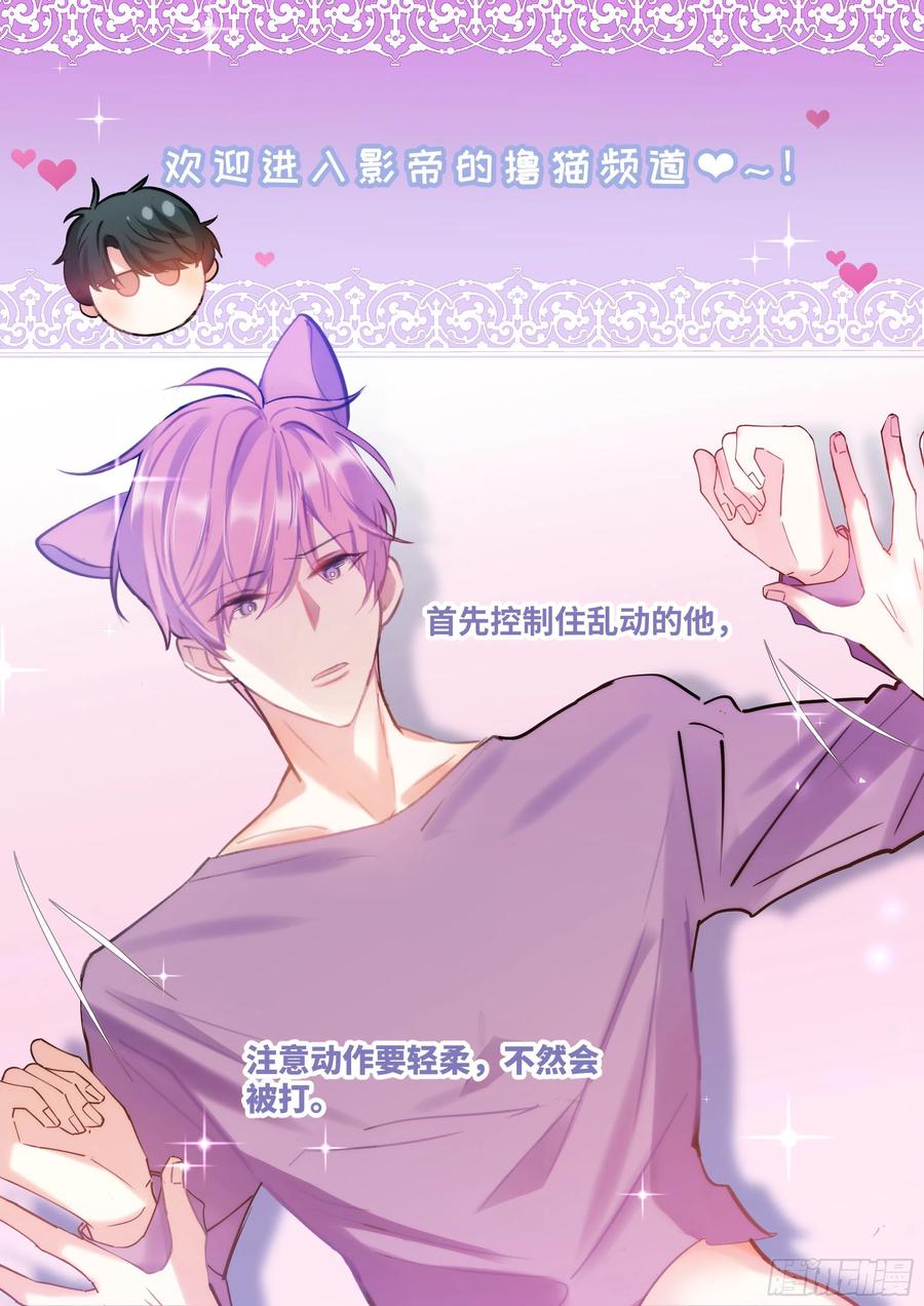 《影帝X影帝》漫画最新章节185.撸猫免费下拉式在线观看章节第【12】张图片