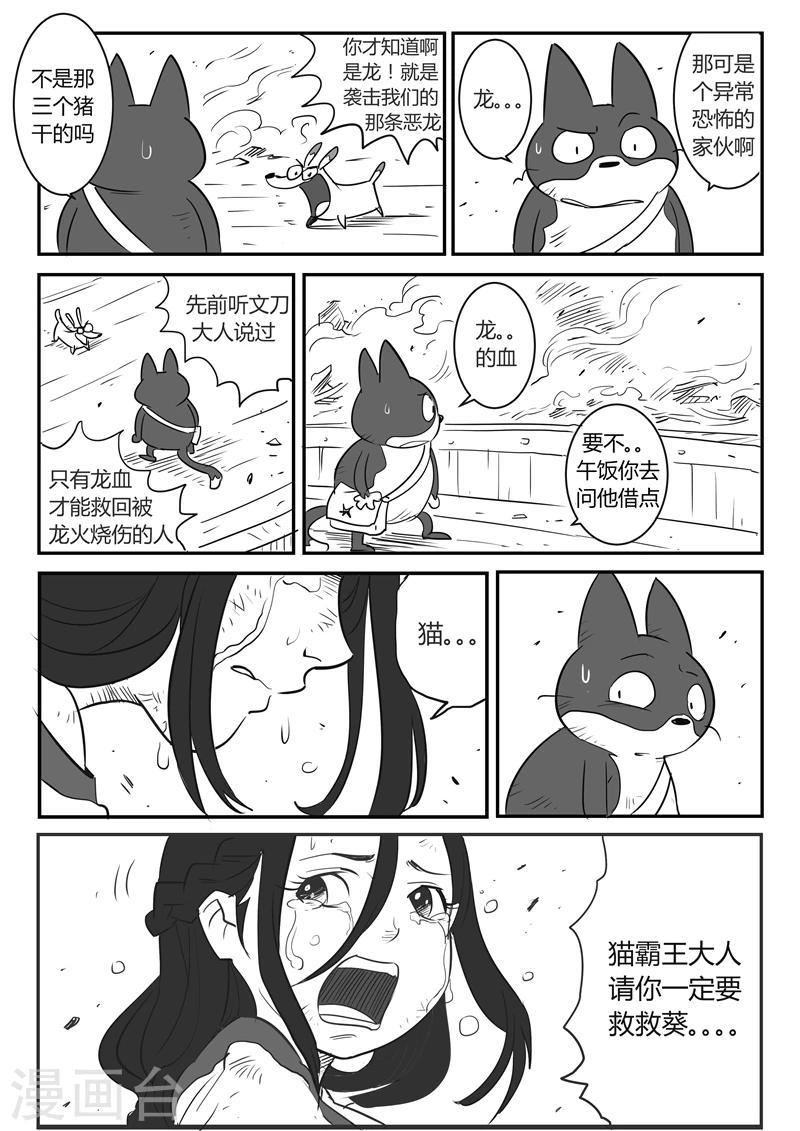 【影子猫】漫画-（第26话 愤怒的二毛）章节漫画下拉式图片-4.jpg