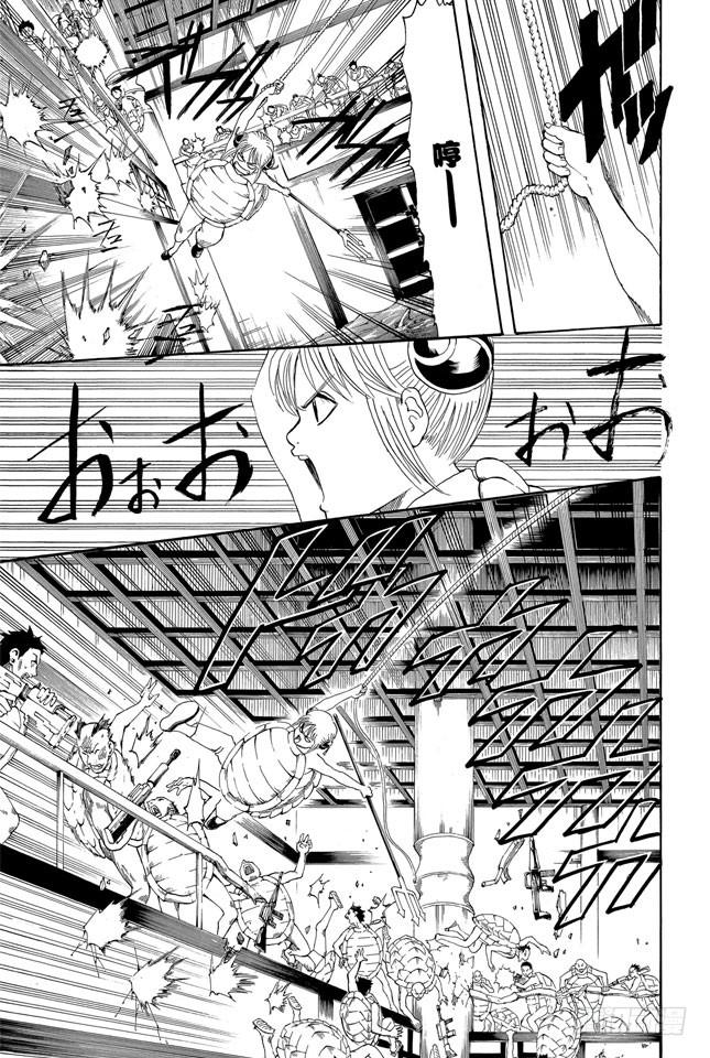 《银魂》漫画最新章节第179话 如盛夏果实般美丽免费下拉式在线观看章节第【5】张图片