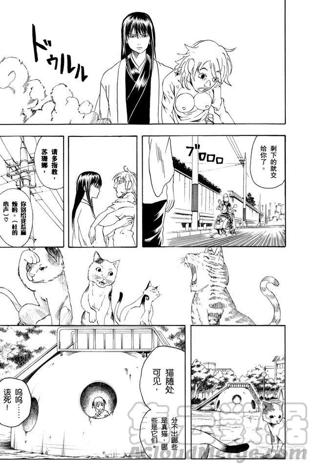 《银魂》漫画最新章节第208话 爱猫与爱狗之人是水火不相容的免费下拉式在线观看章节第【11】张图片