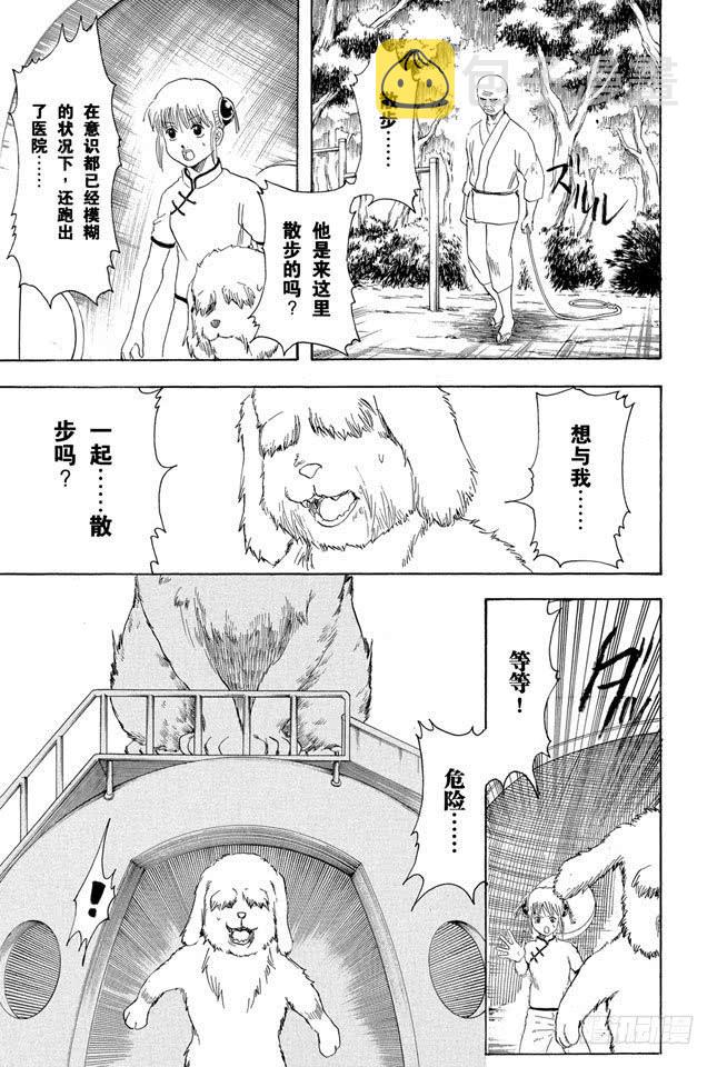 《银魂》漫画最新章节第208话 爱猫与爱狗之人是水火不相容的免费下拉式在线观看章节第【19】张图片