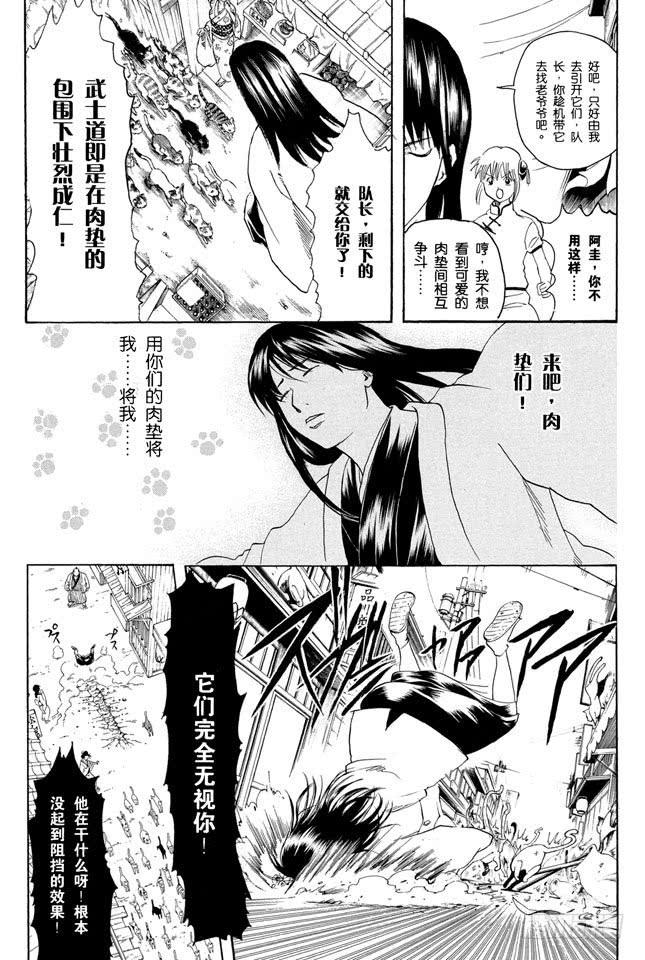 《银魂》漫画最新章节第208话 爱猫与爱狗之人是水火不相容的免费下拉式在线观看章节第【6】张图片