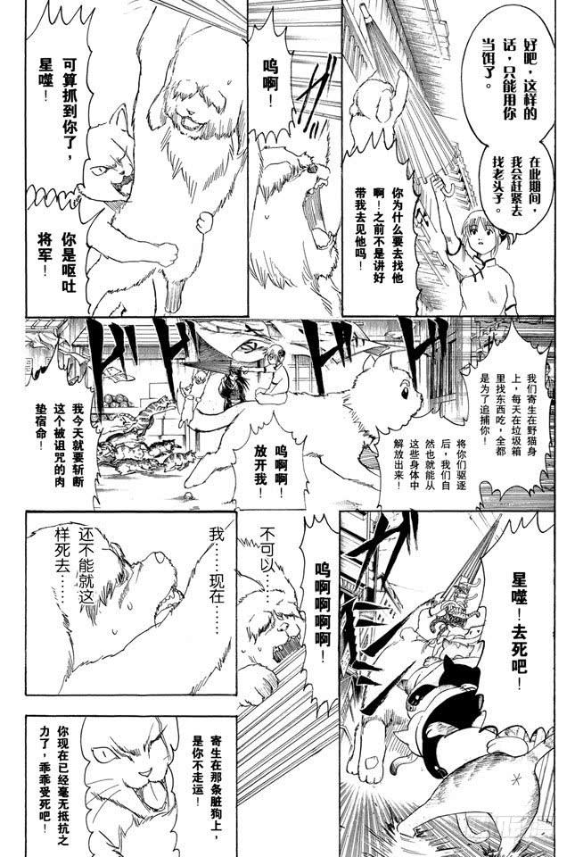 《银魂》漫画最新章节第208话 爱猫与爱狗之人是水火不相容的免费下拉式在线观看章节第【7】张图片