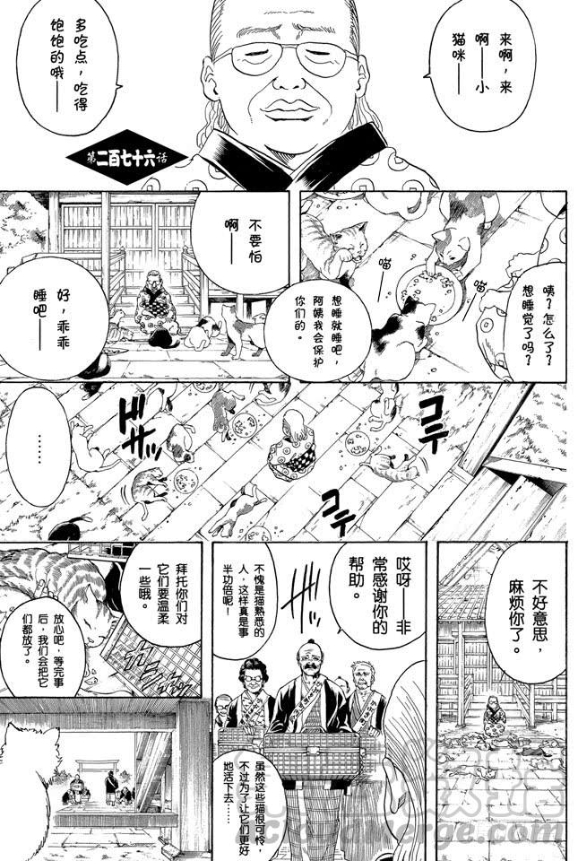 《银魂》漫画最新章节第276话 不用喊“志村，你后面”，因为他已经注意到了呢！免费下拉式在线观看章节第【1】张图片