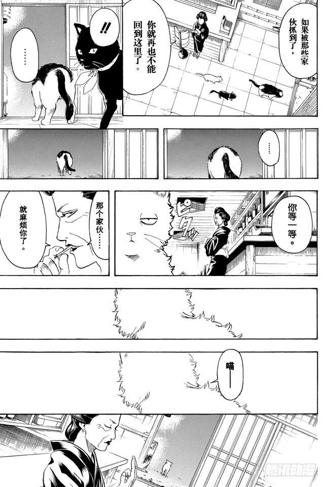 《银魂》漫画最新章节第276话 不用喊“志村，你后面”，因为他已经注意到了呢！免费下拉式在线观看章节第【19】张图片