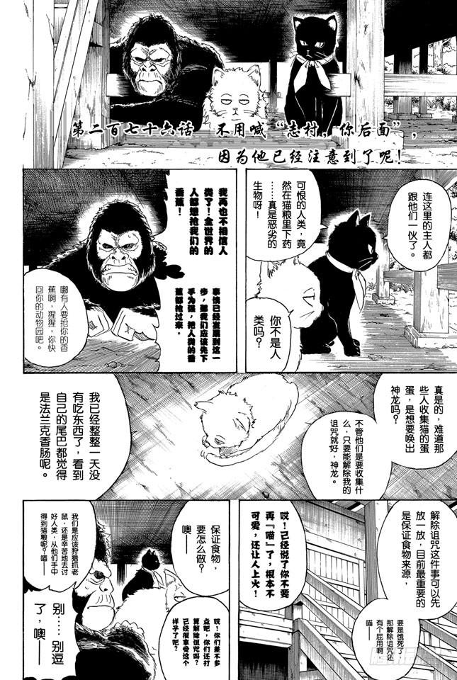 《银魂》漫画最新章节第276话 不用喊“志村，你后面”，因为他已经注意到了呢！免费下拉式在线观看章节第【2】张图片