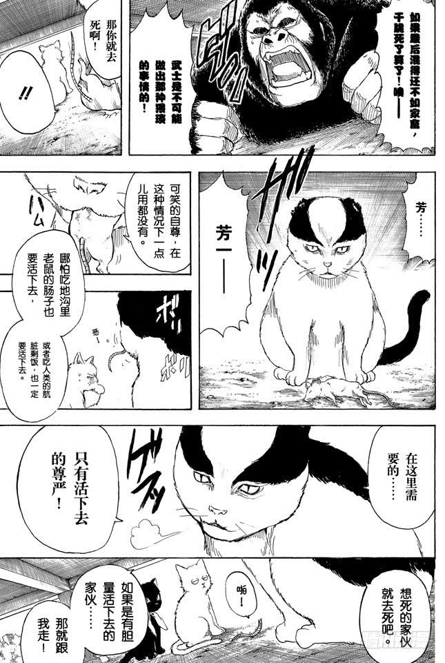 《银魂》漫画最新章节第276话 不用喊“志村，你后面”，因为他已经注意到了呢！免费下拉式在线观看章节第【3】张图片