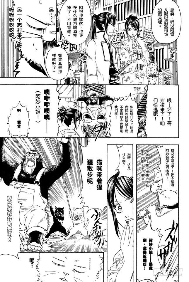 《银魂》漫画最新章节第276话 不用喊“志村，你后面”，因为他已经注意到了呢！免费下拉式在线观看章节第【7】张图片