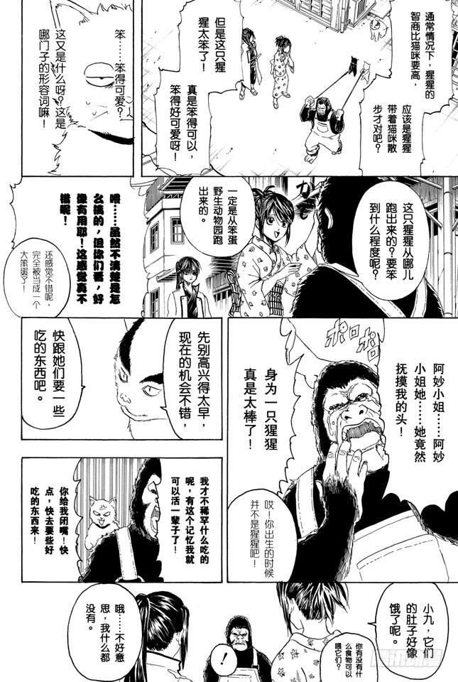 《银魂》漫画最新章节第276话 不用喊“志村，你后面”，因为他已经注意到了呢！免费下拉式在线观看章节第【8】张图片