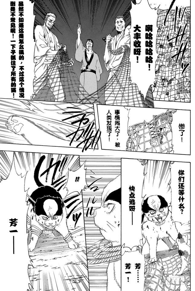 《银魂》漫画最新章节第277话 所谓自由并不是无法无天，而是按照自己的规矩去做免费下拉式在线观看章节第【19】张图片