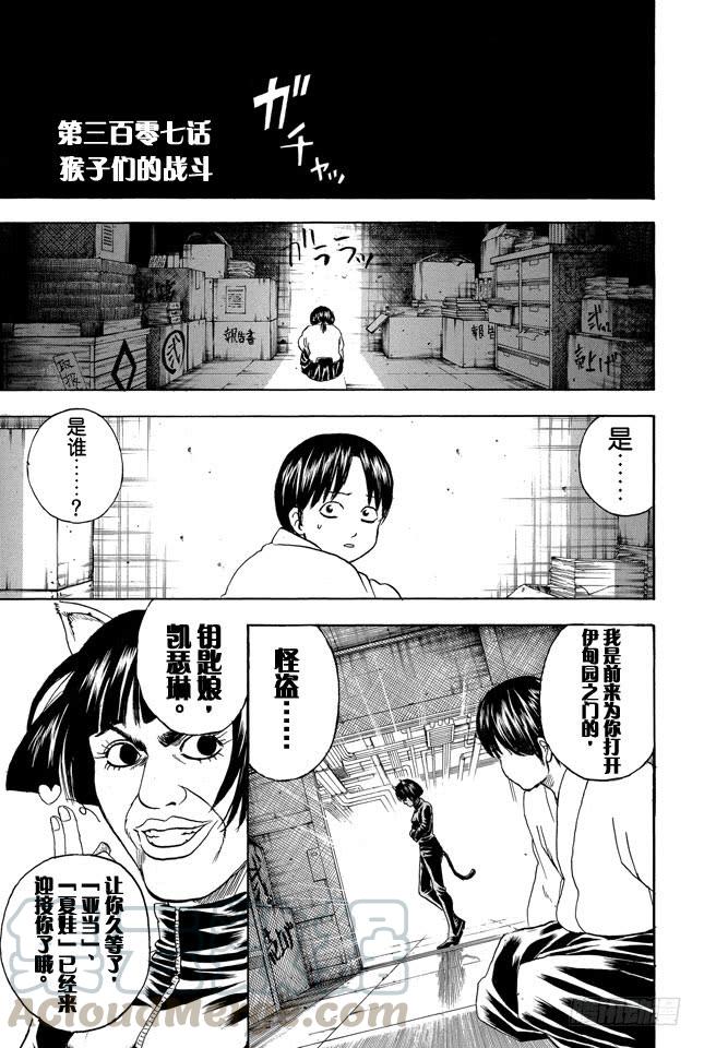 《银魂》漫画最新章节第307话 猴子们的战斗免费下拉式在线观看章节第【1】张图片