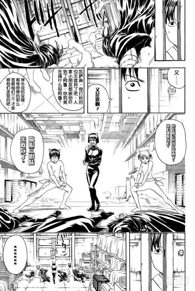 《银魂》漫画最新章节第307话 猴子们的战斗免费下拉式在线观看章节第【3】张图片