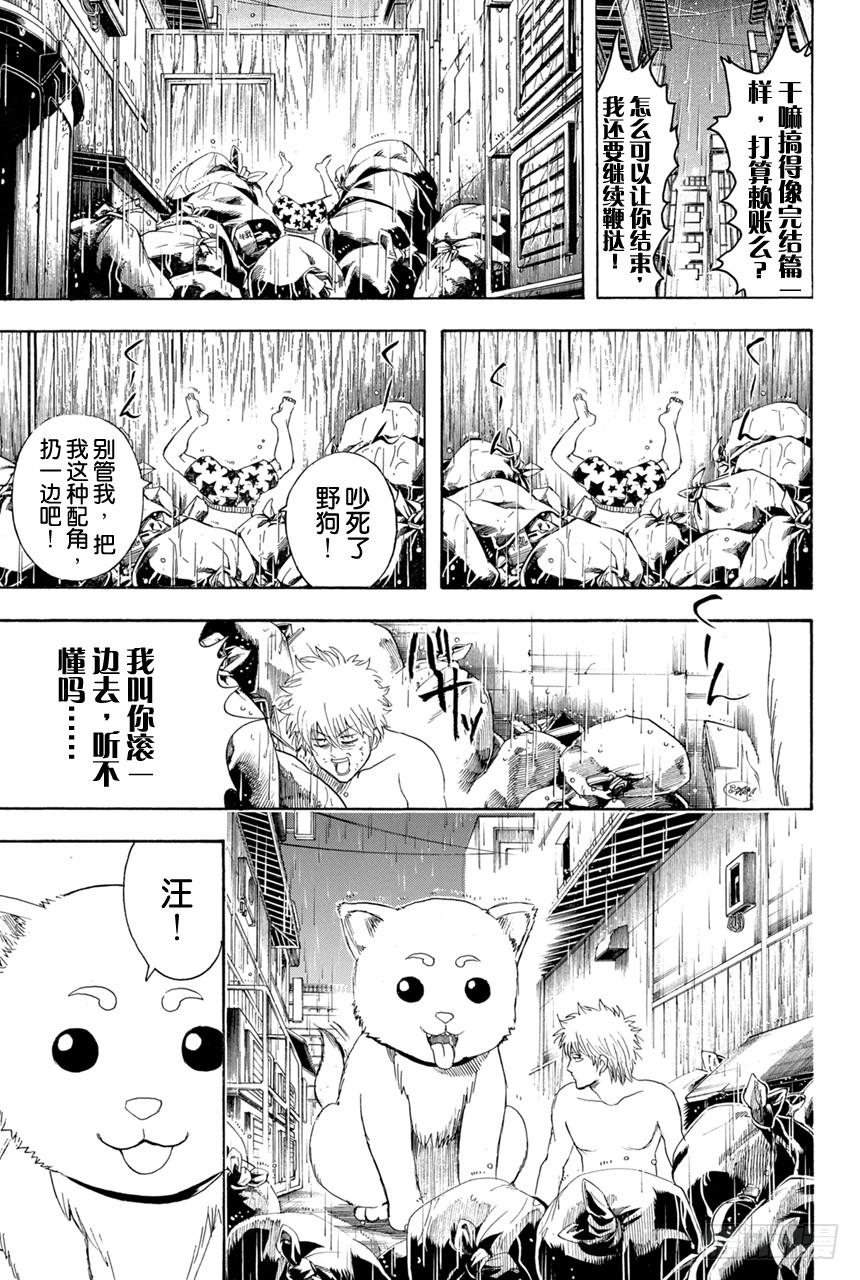 《银魂》漫画最新章节第373话 续 烫了直发的家伙一定都不是坏蛋免费下拉式在线观看章节第【9】张图片