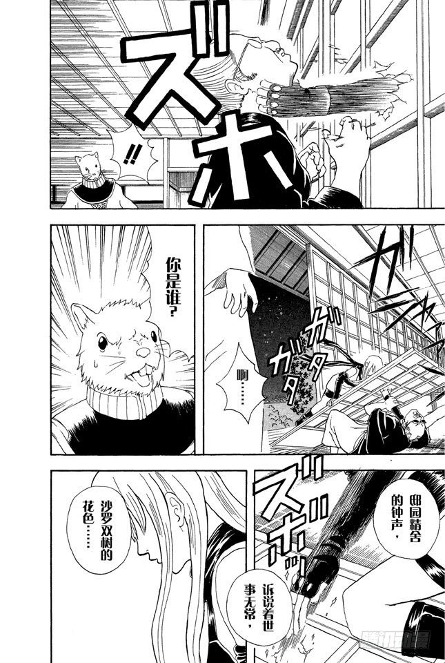 《银魂》漫画最新章节第40话 结婚就是将错误进行到底！免费下拉式在线观看章节第【2】张图片