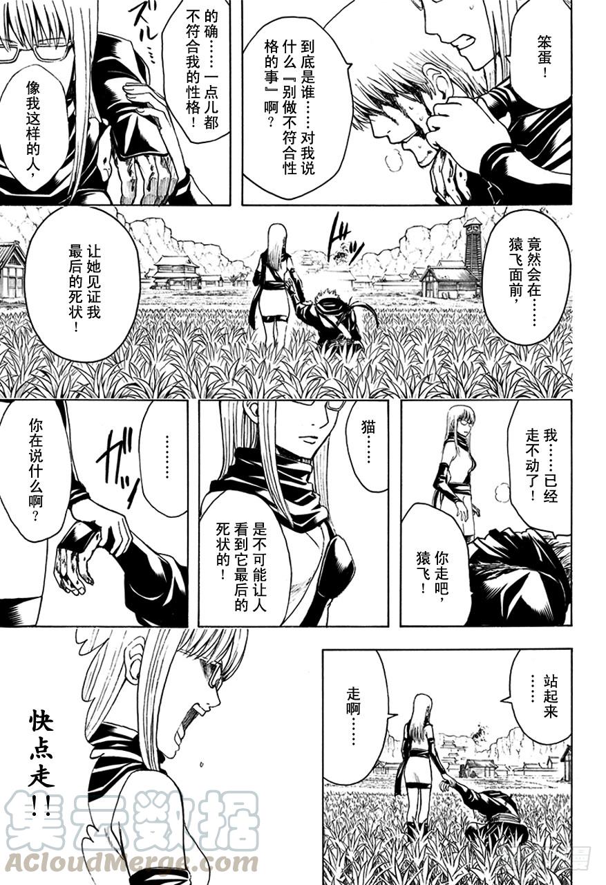 【银魂】漫画-（第510话 武士与忍者）章节漫画下拉式图片-11.jpg