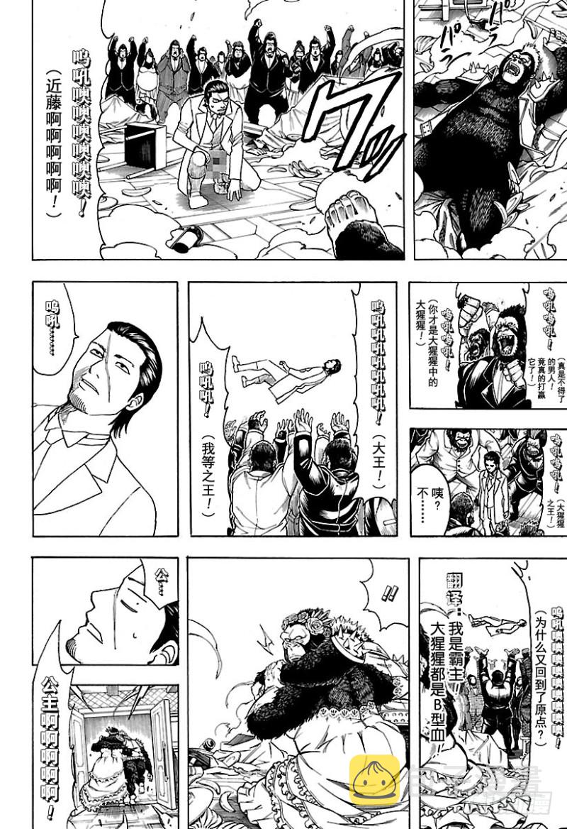 《银魂》漫画最新章节第694话 大猩猩败在大猩猩手上免费下拉式在线观看章节第【11】张图片