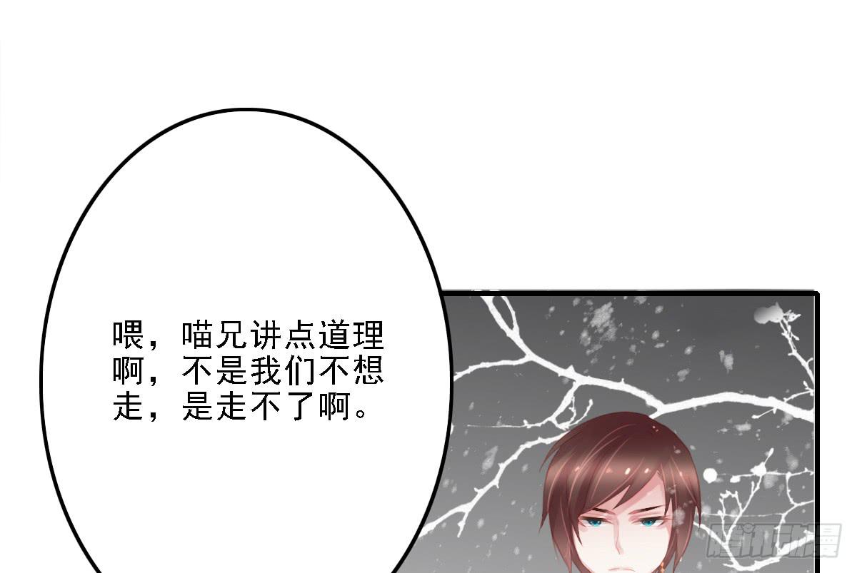 《引龙调》漫画最新章节封景4免费下拉式在线观看章节第【58】张图片