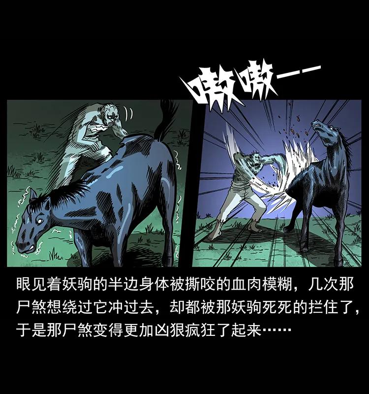 《幽冥诡匠》漫画最新章节158 妖驹的选择免费下拉式在线观看章节第【78】张图片