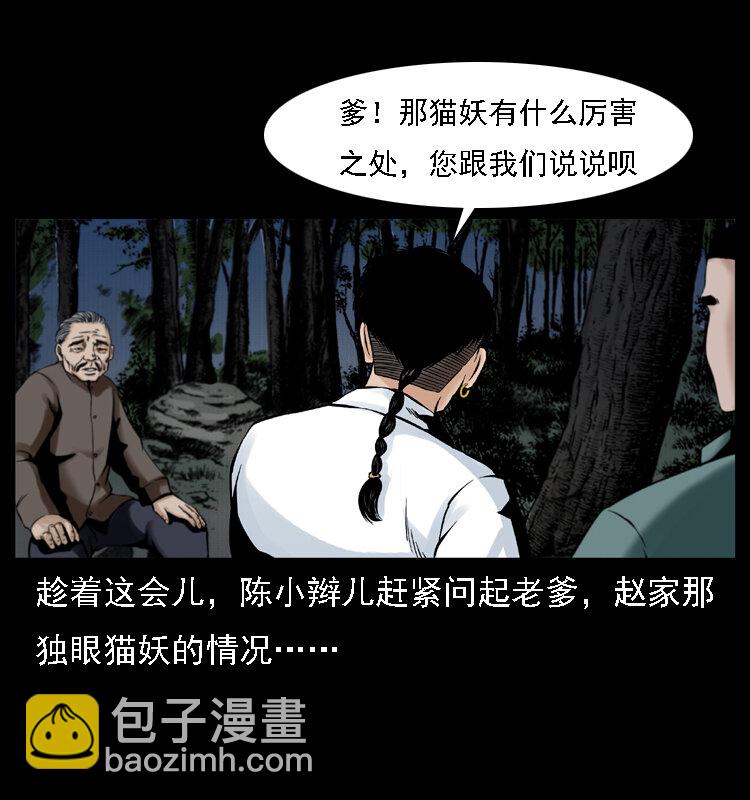 《幽冥诡匠》漫画最新章节003 赵家的猫免费下拉式在线观看章节第【17】张图片