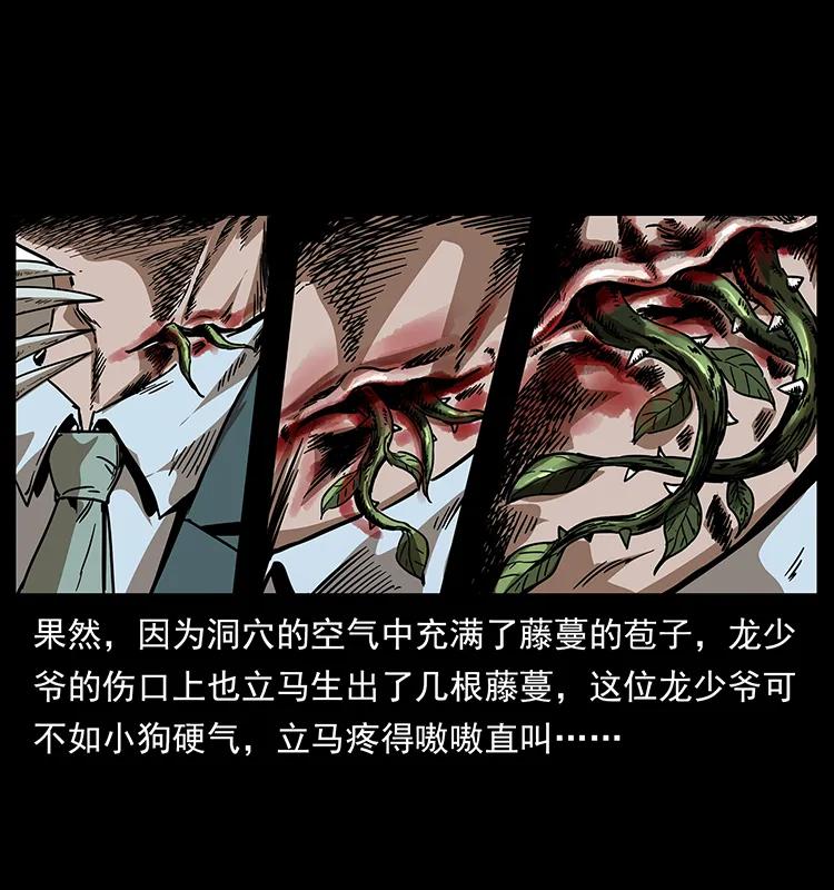 《幽冥诡匠》漫画最新章节193 草蛊婆免费下拉式在线观看章节第【11】张图片