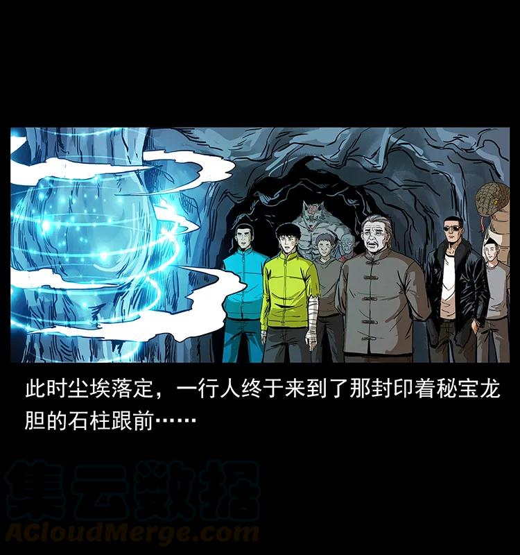 《幽冥诡匠》漫画最新章节202 龙胆免费下拉式在线观看章节第【13】张图片