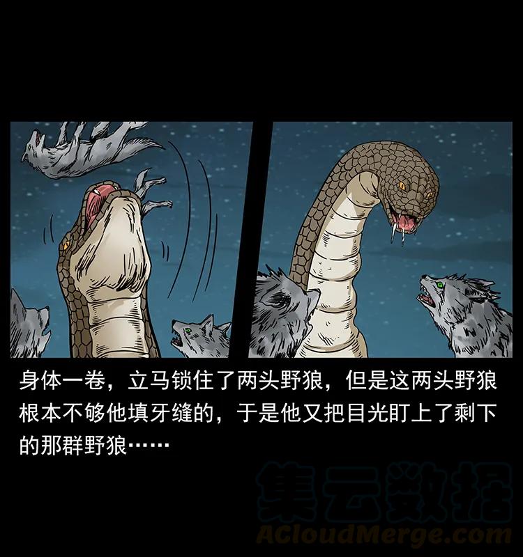 《幽冥诡匠》漫画最新章节212 草原深处免费下拉式在线观看章节第【41】张图片