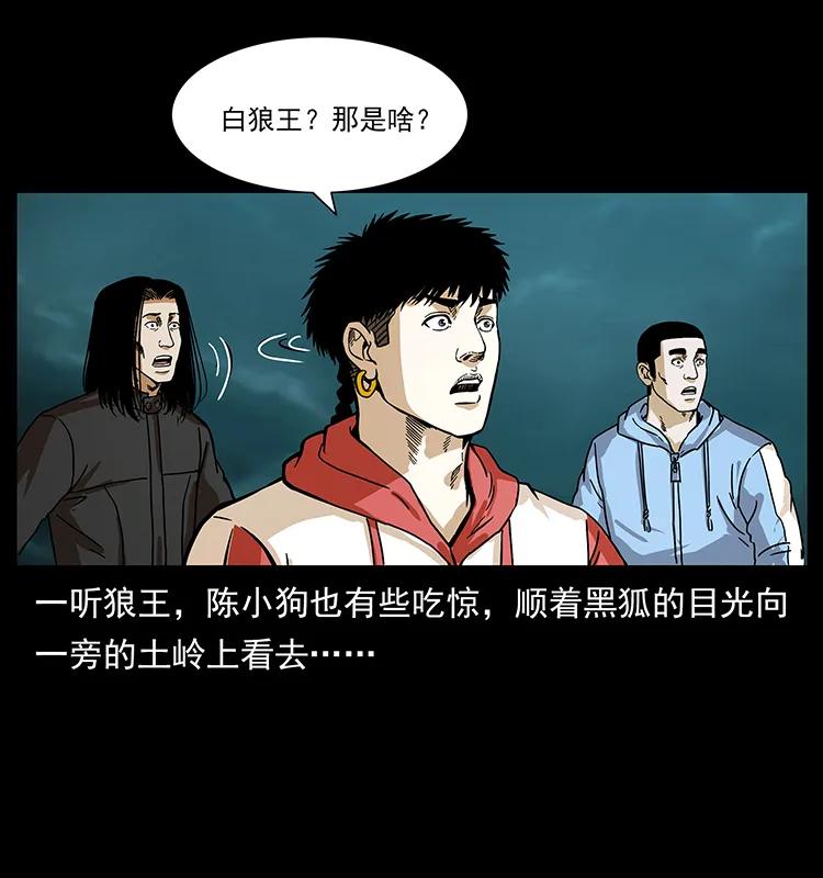 《幽冥诡匠》漫画最新章节220 漠北白狼王免费下拉式在线观看章节第【78】张图片