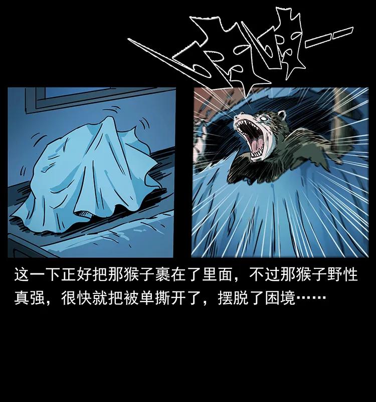 《幽冥诡匠》漫画最新章节228 凶兽免费下拉式在线观看章节第【68】张图片