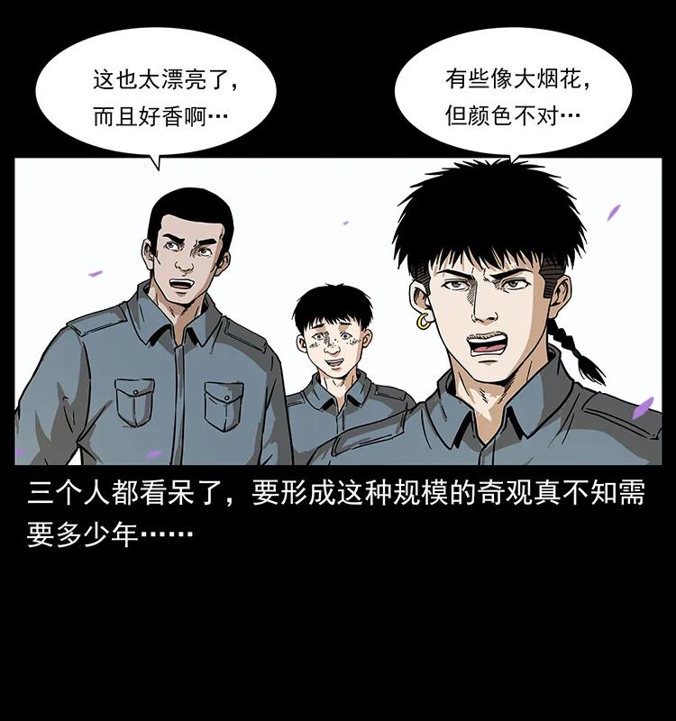 《幽冥诡匠》漫画最新章节236 神秘的小岛免费下拉式在线观看章节第【40】张图片